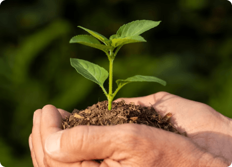 Sustentabilidade